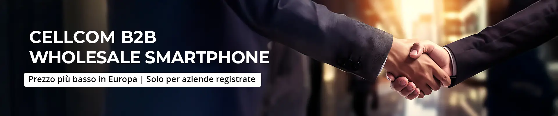 B2B-Banner